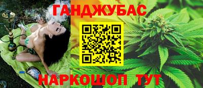 крисы Гай