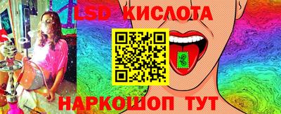 трава Гатчина