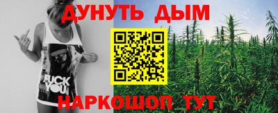 трава Гатчина