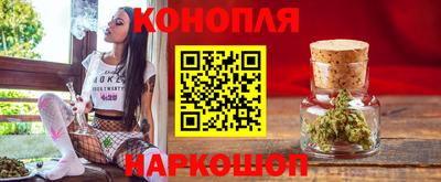 крисы Гай