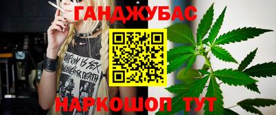 крисы Гай