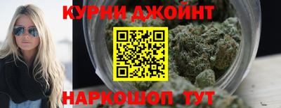 трава Гатчина