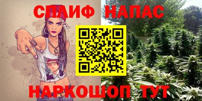 трава Гатчина