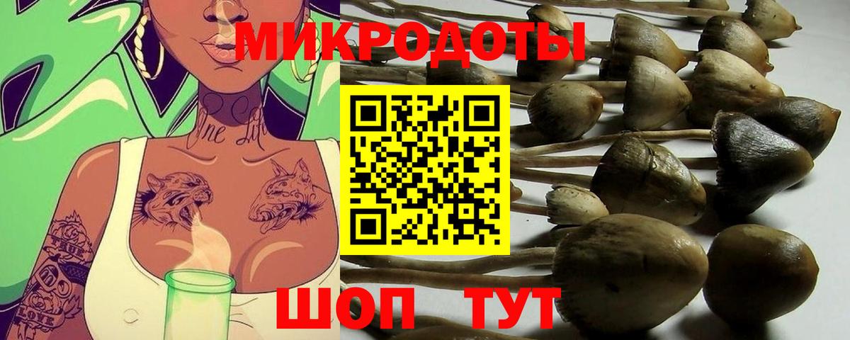 Галлюциногенные грибы Psilocybe  Галлюциногенные грибы мухоморы  Ейск  где продают наркотики  Вход с VPN 