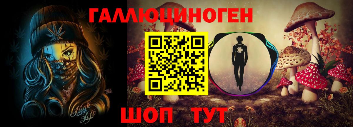 Псилоцибиновые грибы Cubensis Ейск